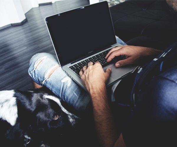 When I hear the buzz