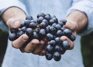 She packed her seven versalia