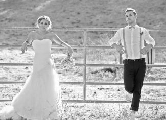 Donec mollis hendrerit