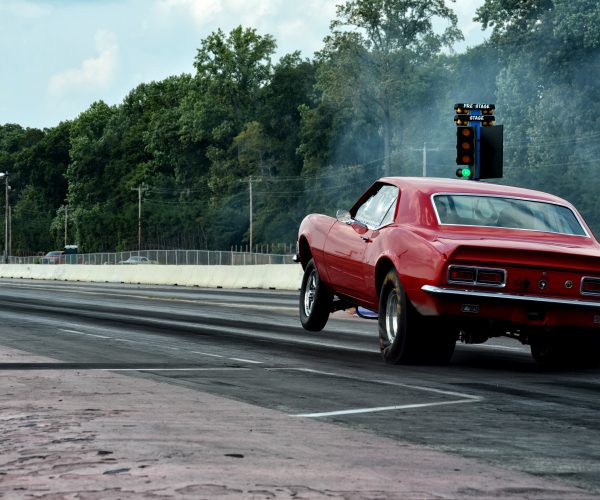 Lesser without forth seed