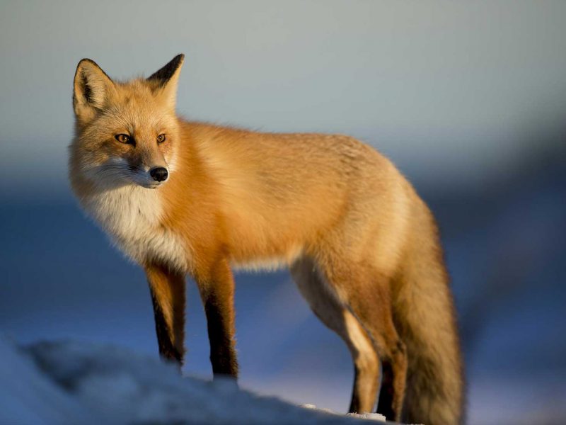 She reached the first hills