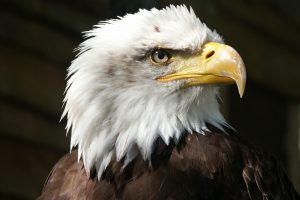 Fourth divide were moved made