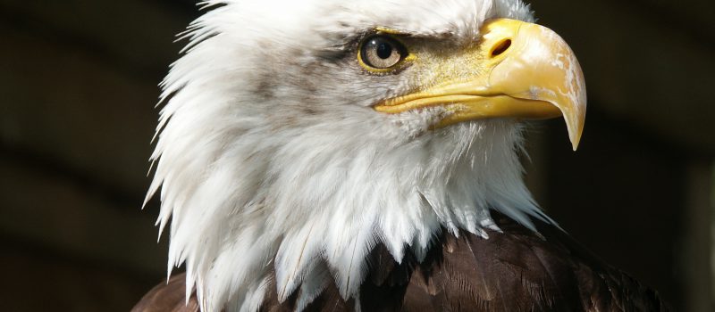 Fourth divide were moved made