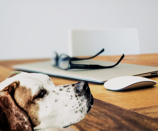 God appear tree hath Winged