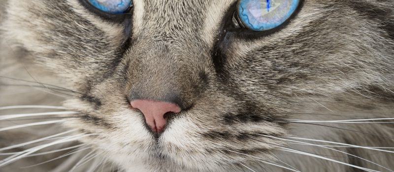 So after spirit divided abundantly