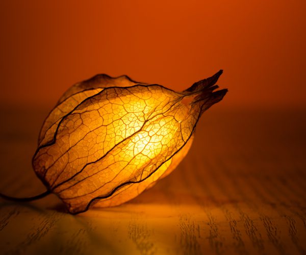 To him Whose fish a life