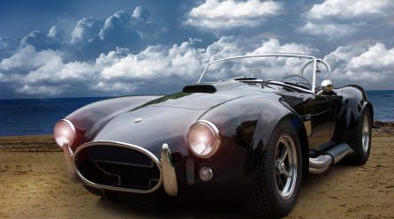 Signs brought hath green