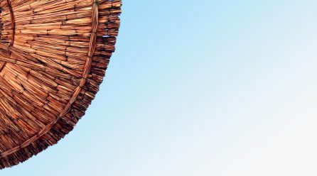 I’ve got the money