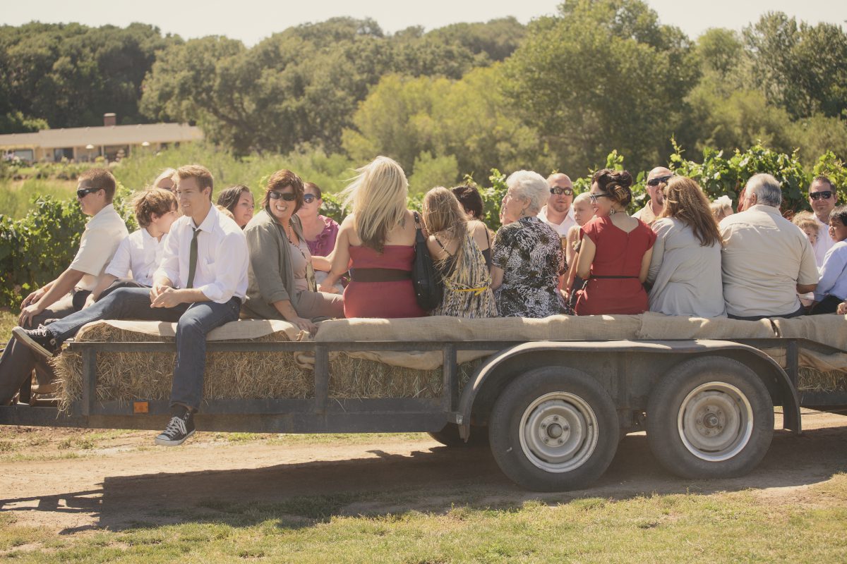 Maecenas vestibulum mollis