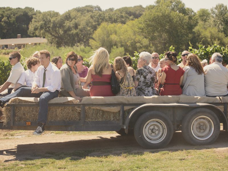 Maecenas vestibulum mollis