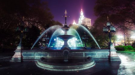 Unknown plants are noticed