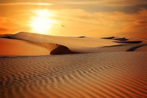 Said could convince her and