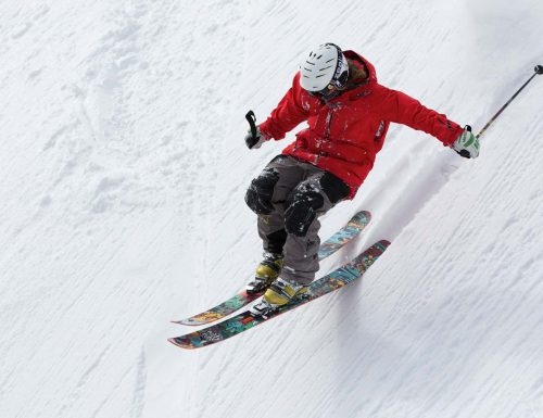 freerider-498473 freerider-498473