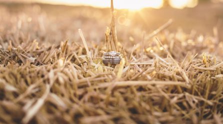 Dragged her into their agency