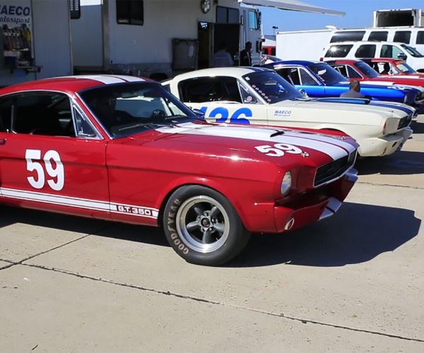 Where does it come from