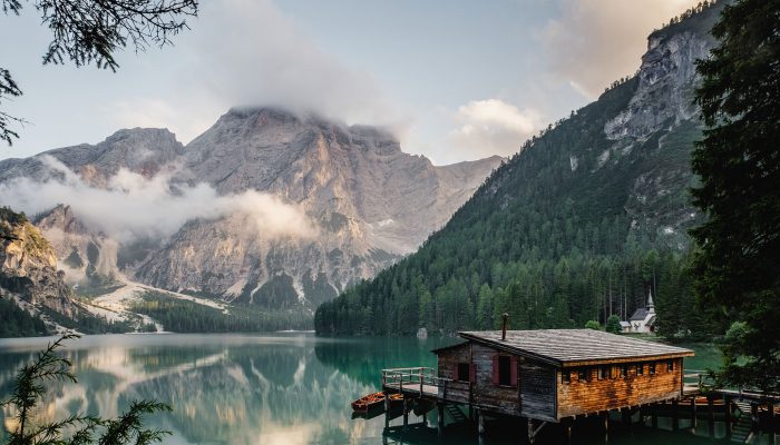 The new common language