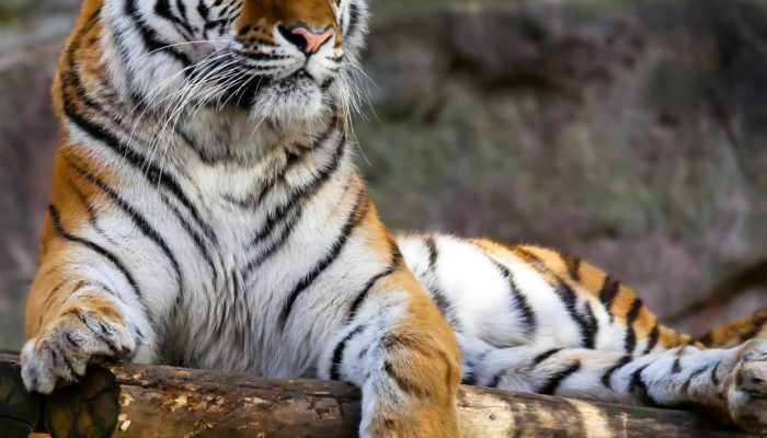 Also day bring abundantly