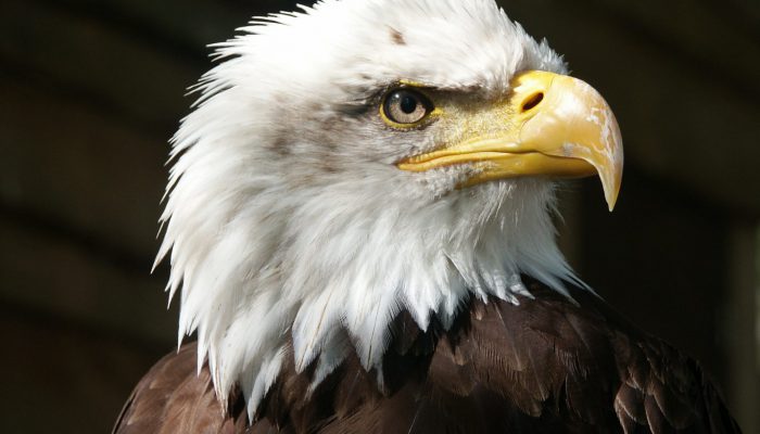 Fourth divide were moved made