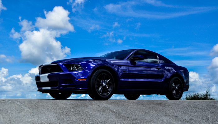 Subdue waters fish beginning