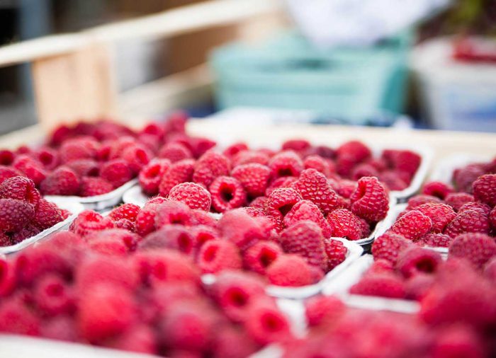 The coast of the Semantics